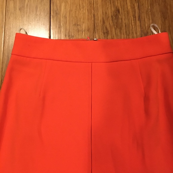 Aritzia midi skirt - Picture 4 of 4